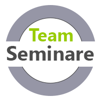 Teamseminare für virtuelle Teams, hybride Teams  und Teams vor Ort MTO-Consulting MTO-Consulting