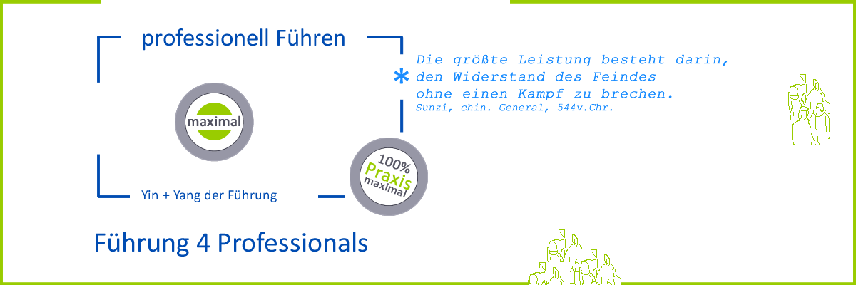 Seminar Führung 4 Professionals Führung durchsetzen